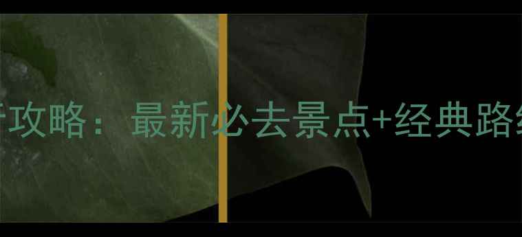 图片 上海5天4晚自由行攻略：最新必去景点+经典路线规划+美食地图1