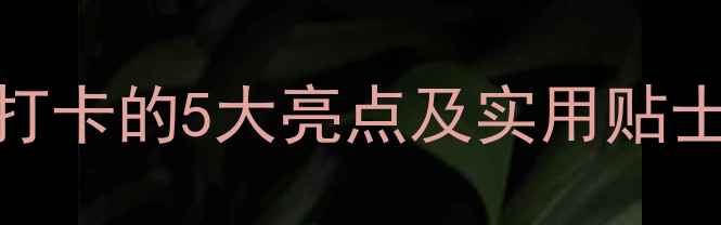 图片 合肥海洋馆攻略：亲子游必打卡的5大亮点及实用贴士（附门票价格+交通指南）1