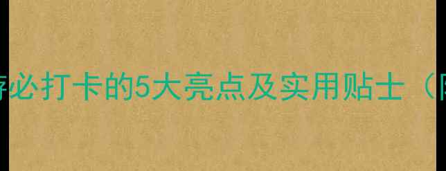 图片 合肥海洋馆攻略：亲子游必打卡的5大亮点及实用贴士（附门票价格+交通指南）2