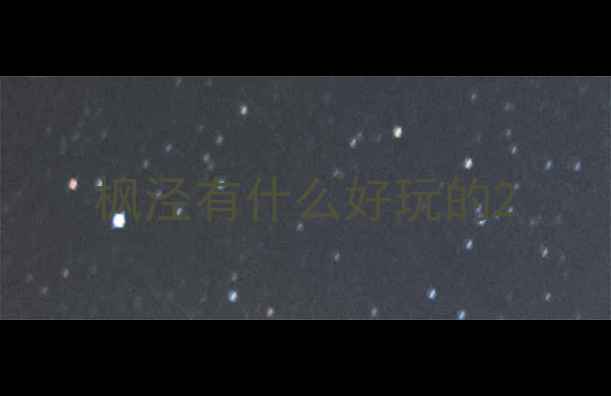 图片 枫泾有什么好玩的2