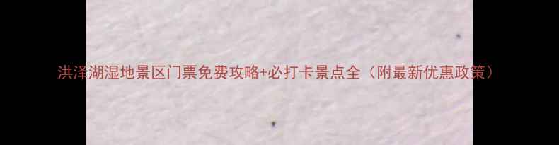 图片 洪泽湖湿地景区门票免费攻略+必打卡景点全（附最新优惠政策）